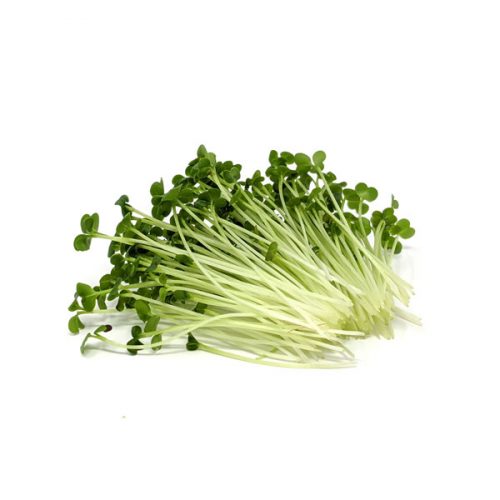 Produkt-Brokkoli2