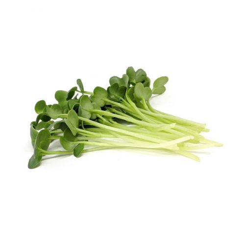 Produkt-Daikon-Rettich2