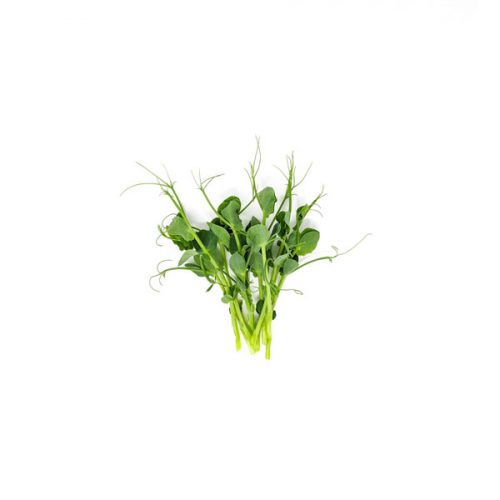 Produkt-Zuckererbse2